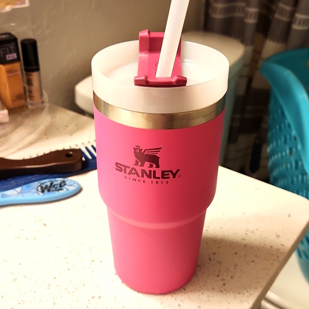 20oz Stanley Cup